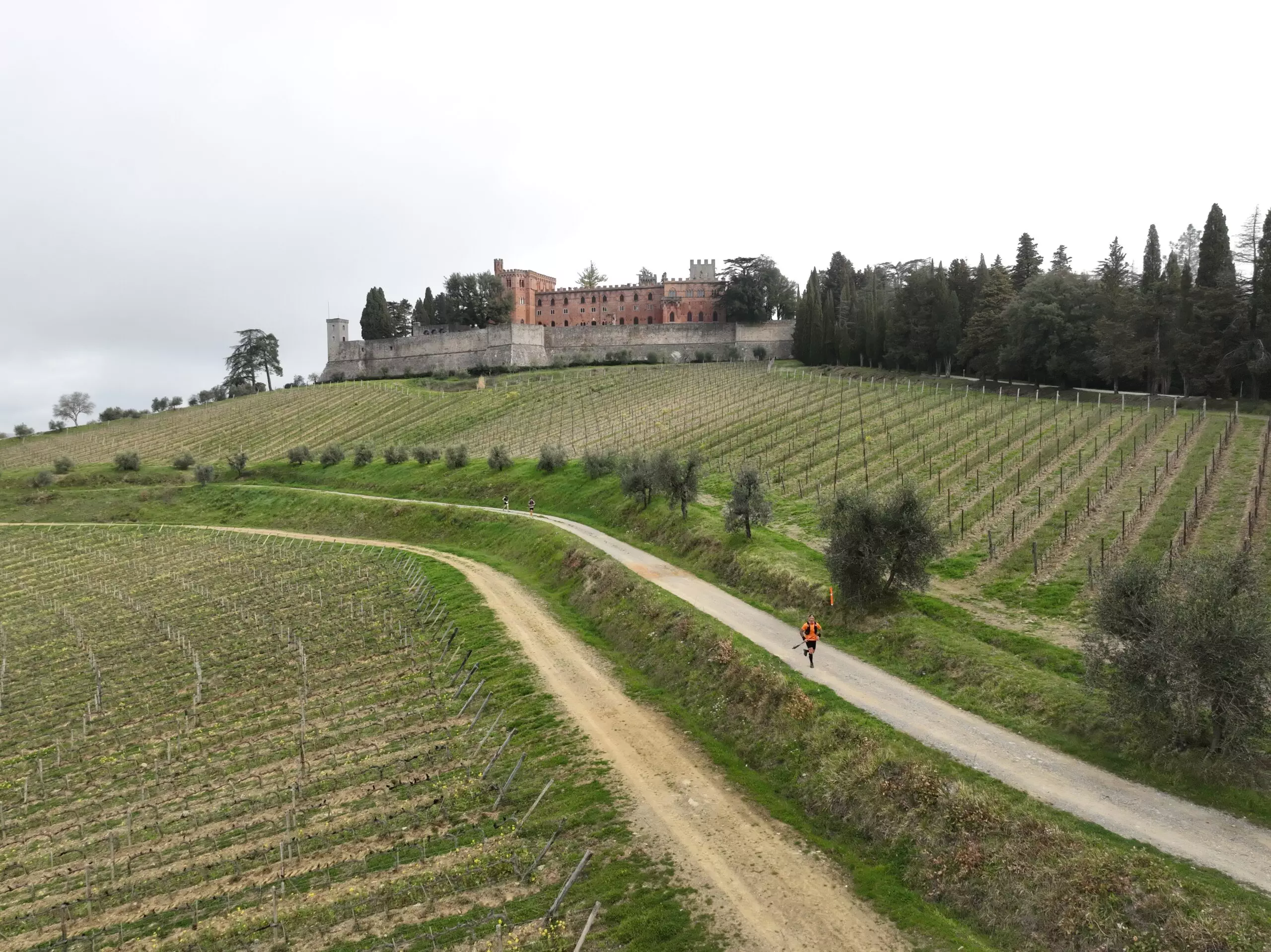 Tra i vigneti del prosecco Unesco