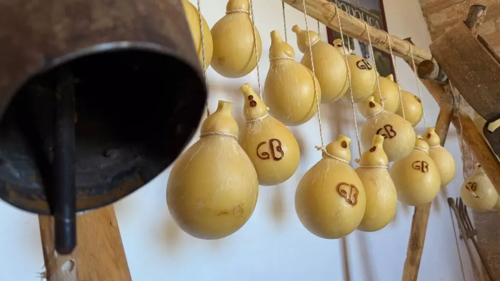 CacioCavallo Bramante a Masseria Paglicci sul Gargano
