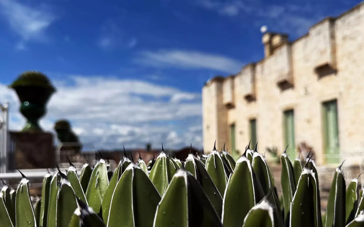 La terrazza della Masseria - ph. Lucrezia Argentiero