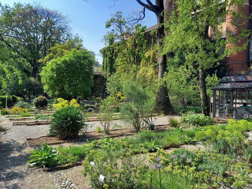 orto botanico di Brera